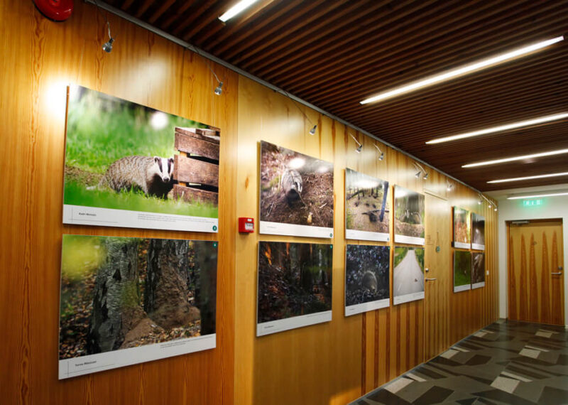 Multirail rail system with lighting - Image 2