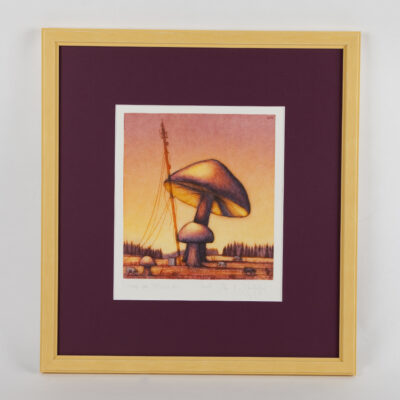 Navitrolla - "Seen on tõsine asi" 41,5x45cm
