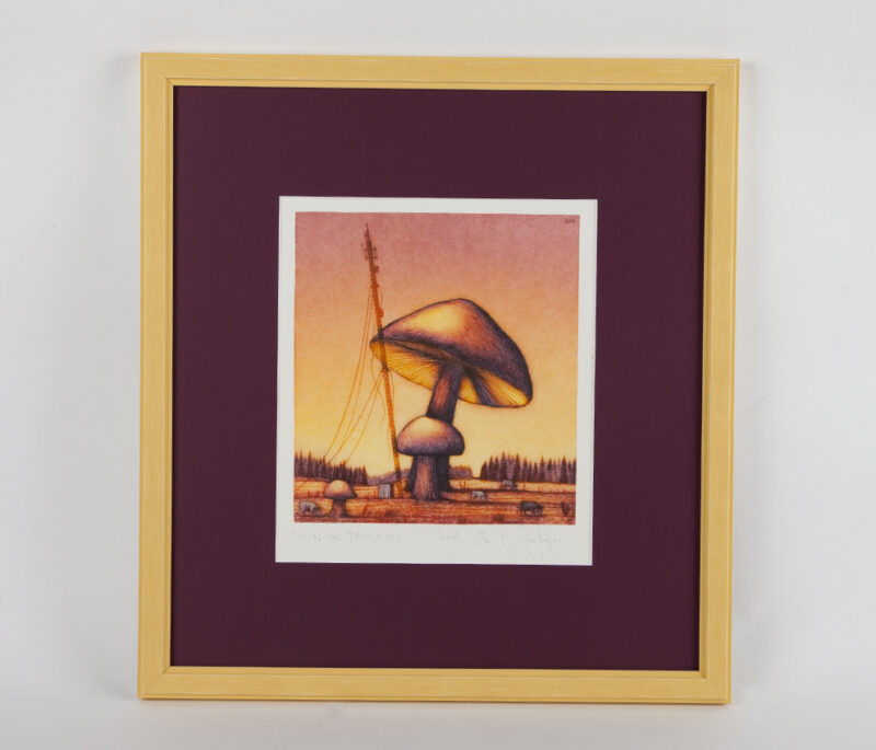 Navitrolla - "Seen on tõsine asi" 41,5x45cm