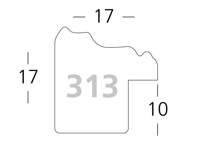313/210 - Image 2